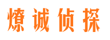 宜黄市调查公司